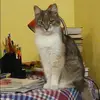 Отзыв от Майя Воробьева